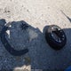 KL79MPSL5RB169845 2024 Chevrolet Trailblazer Fwd Lt auction photo thumbnail 12