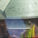1FTRW12W55KE43821 2005 Ford F-150 Xlt auction photo thumbnail 9