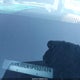 3C4NJDCN1PT537474 2023 Jeep Compass Limited 4X4 auction photo thumbnail 17