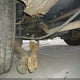 JHLRD78886C004287 2006 Honda Cr-V Ex auction photo thumbnail 13