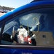 5XYK6CAF7PG111547 2023 Kia Sportage X-Line auction photo thumbnail 5