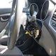 5NPDH4AE5GH708074 2016 Hyundai Elantra Se auction photo thumbnail 6