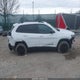 1C4PJMMB4PD106873 2023 Jeep Cherokee Altitude Lux 4X4 auction photo thumbnail 12