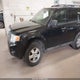 1FMCU93GX9KA87076 2009 Ford Escape Xlt auction photo thumbnail 2