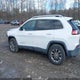 1C4PJMLB4KD295227 2019 Jeep Cherokee Latitude Plus 4X4 auction photo thumbnail 14