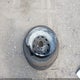 JT4RN50R8H0297342 1987 Toyota Pickup 1/2 Ton Rn50 auction photo thumbnail 11