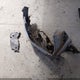 1HGCV3F28NA017334 2022 Honda Accord Hybrid Sport auction photo thumbnail 12
