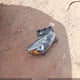 1FMCU0G66NUA99334 2022 Ford Escape Se auction photo thumbnail 12