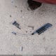 SAJNX2745RC191109 1994 Jaguar Xjs 2+2 auction photo thumbnail 12