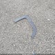 ZACCJABH1FPB95709 2015 Jeep Renegade Latitude auction photo thumbnail 12
