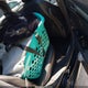 3FA6P0HD9GR331396 2016 Ford Fusion Se auction photo thumbnail 8