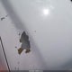 1GNEK13ZX4R104004 2004 Chevrolet Tahoe Z71 auction photo thumbnail 6