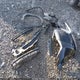 1GNEVGKW1PJ323938 2023 Chevrolet Traverse Awd Lt Cloth auction photo thumbnail 12