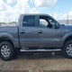 1FTFW1ETXDKG38509 2013 Ford F-150 Xlt auction photo thumbnail 12