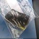 JTJGB7CX2N4007054 2022 Lexus Lx 600 Luxury auction photo thumbnail 11