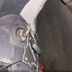1J4GW48S44C324786 2004 Jeep Grand Cherokee Laredo auction photo thumbnail 11