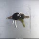 1N6SD16S0VC362148 1997 Nissan 4X2 Truck Se/Xe auction photo thumbnail 11