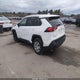2T3F1RFVXRW495590 2024 Toyota Rav4 Le auction photo thumbnail 3