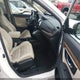5J6RW2H53KL007537 2019 Honda Cr-V Ex auction photo thumbnail 5