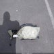 JF2SHADC4CH433033 2012 Subaru Forester 2.5X Premium auction photo thumbnail 12