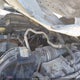 1FT7W2BT9FED69967 2015 Ford F-250 Xlt auction photo thumbnail 10