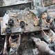 1FTNW21P74ED99963 2004 Ford F-250 Lariat/Xl/Xlt auction photo thumbnail 7