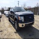 1FTFW1EV4AKB34051 2010 Ford F-150 Fx4/Harley-Davidson/King Ranch/Lariat/Platinum/Xl/Xlt auction photo thumbnail 1