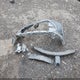 2T1BURHE2JC083052 2018 Toyota Corolla Le auction photo thumbnail 12