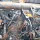 3C6TR5HT3DG547920 2013 Ram 2500 Tradesman auction photo thumbnail 11