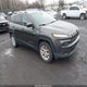 1C4PJMCB7HW537893 2017 Jeep Cherokee Latitude 4X4 auction photo thumbnail 1