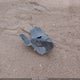 1FM5K8BH2GGC37328 2016 Ford Explorer auction photo thumbnail 12