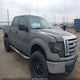 1FTEW1E84AKB45346 2010 Ford F-150 Xl/Xlt auction photo thumbnail 1