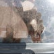 5TESN92N93Z174208 2003 Toyota Tacoma Prerunner V6 auction photo thumbnail 6