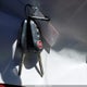 3C3CFFAR1DT737202 2013 Fiat 500 Pop auction photo thumbnail 11