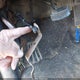 1FTRW07L01KC05152 2001 Ford F-150 Harley-Davidson Edition/King Ranch Edition/Lariat/Xlt auction photo thumbnail 15