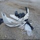 5NPEC4AC3BH076895 2011 Hyundai Sonata Ltd auction photo thumbnail 12