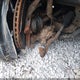1C4RDJEG4EC351779 2014 Dodge Durango Citadel auction photo thumbnail 19