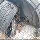 1C4RDJEG4EC351779 2014 Dodge Durango Citadel auction photo thumbnail 20