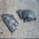 KM8J33A42LU157827 2020 Hyundai Tucson Value auction photo thumbnail 11