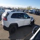 1C4PJMBS3GW360419 2016 Jeep Cherokee Trailhawk auction photo thumbnail 14