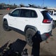 1C4PJMBS3GW360419 2016 Jeep Cherokee Trailhawk auction photo thumbnail 3