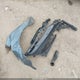 JM1BL1U53B1429724 2011 Mazda Mazda3 S Sport auction photo thumbnail 11