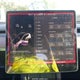 7SAYGDEF6PF702745 2023 Tesla Model Y Performance Dual Motor All-Wheel Drive auction photo thumbnail 7