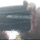 JN8BT3BB5PW198862 2023 Nissan Rogue Sv Intelligent Awd auction photo thumbnail 9
