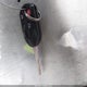 1FAHP2FW7BG138768 2011 Ford Taurus Limited auction photo thumbnail 11