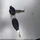 LL0TCKPG0LG001038 2020 Yongfu Yn50Qt-7 / Yn125-7 / Yn150T-7 / Yn250T-7 / Yn300-7 auction photo thumbnail 11