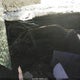 1GNSCAE07BR253336 2011 Chevrolet Tahoe Ls auction photo thumbnail 7