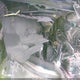 2C4RDGDG8CR108064 2012 Dodge Grand Caravan Crew auction photo thumbnail 10