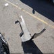 4T1C11AK9LU368203 2020 Toyota Camry Le auction photo thumbnail 12
