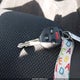 JF1GPAC64E8219168 2014 Subaru Impreza 2.0I Premium auction photo thumbnail 11